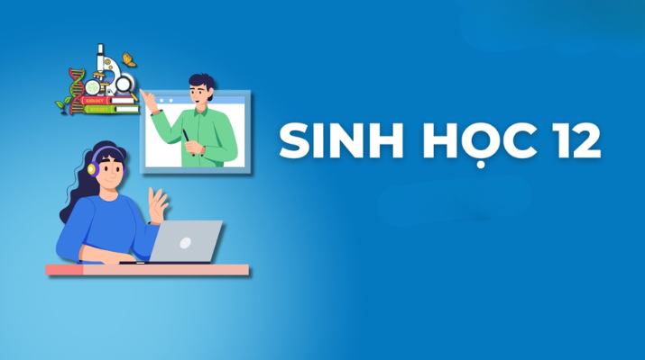 11 1 Tất cả các khóa học