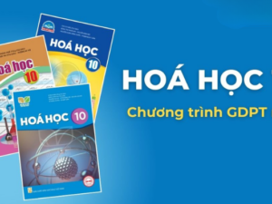 Đội ngũ nhân sự.png